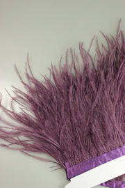 Pene De Strut