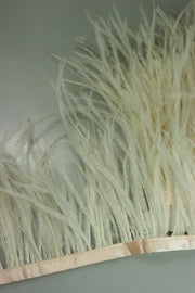 Pene De Strut