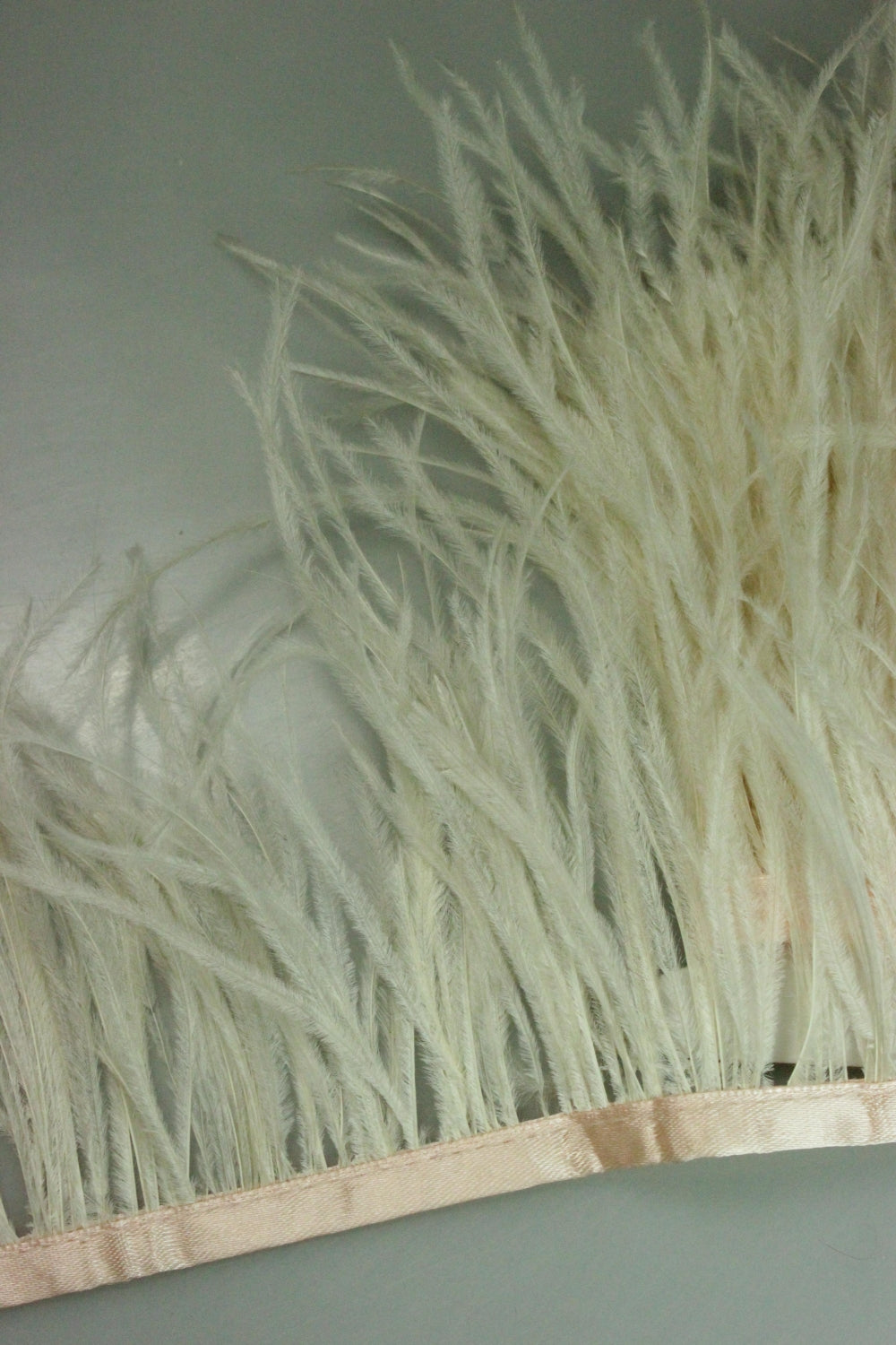 Pene De Strut