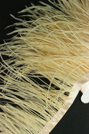 Pene De Strut