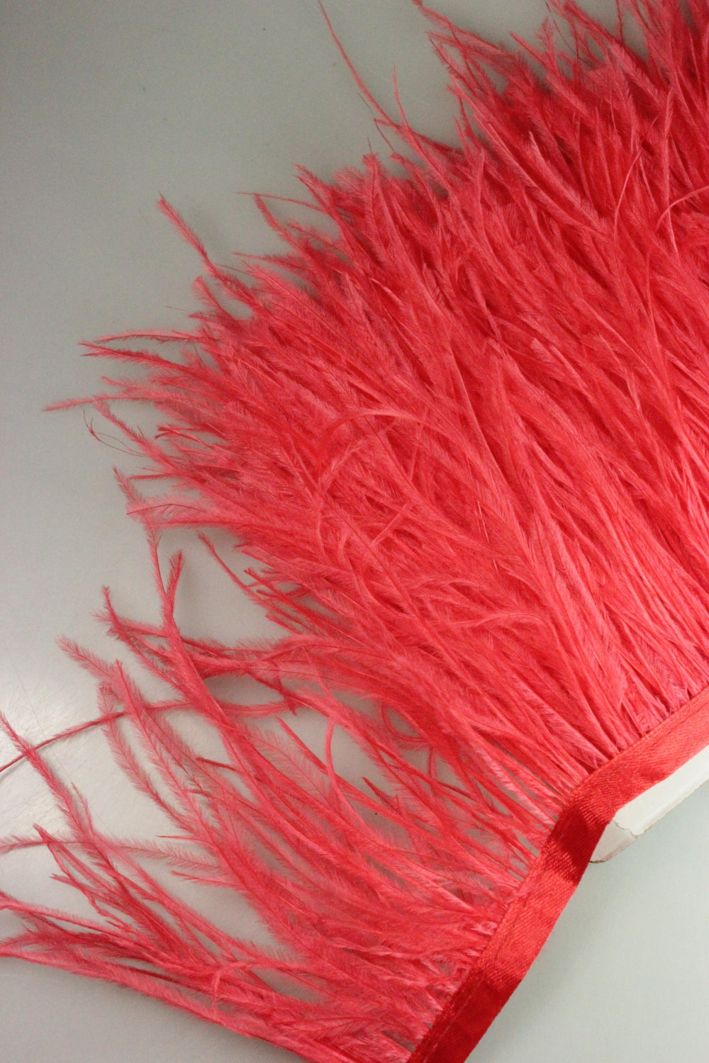 Pene De Strut