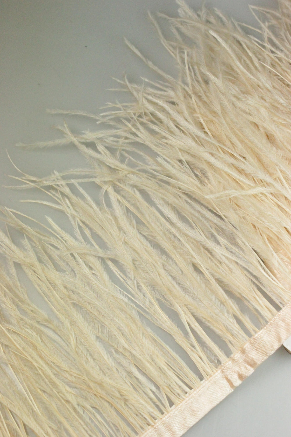 Pene De Strut