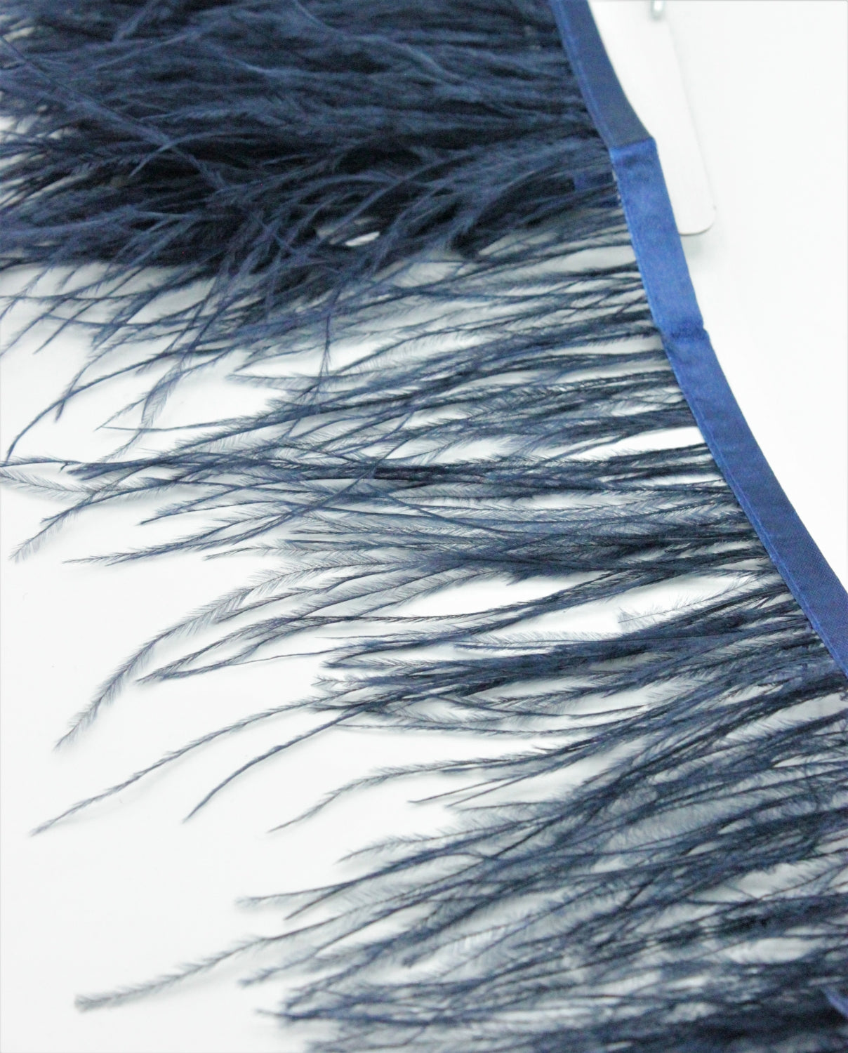 Pene De Strut, Bleumarin