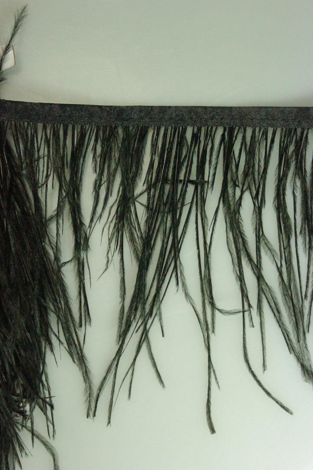 Pene De Strut, Negru