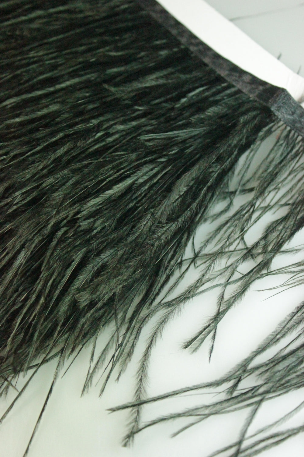 Pene De Strut, Negru