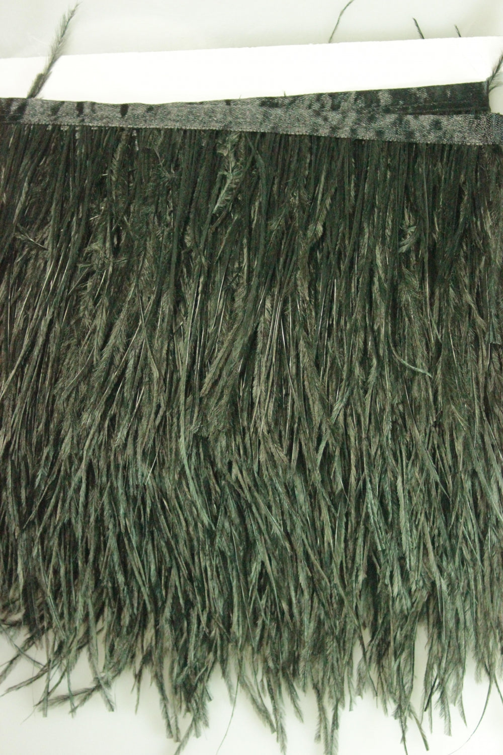 Pene De Strut, Negru