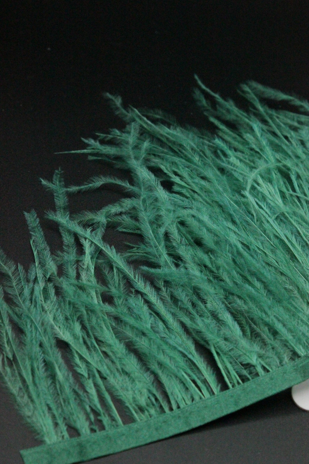 Pene De Strut, Verde