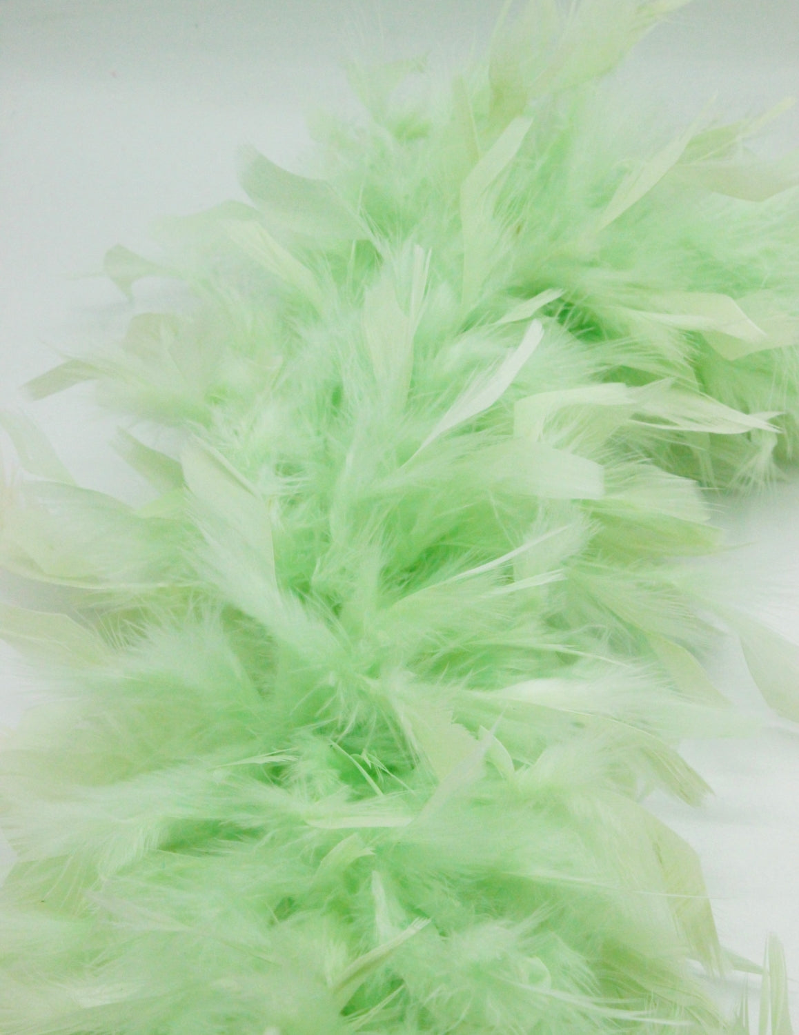 Sal Boa, Verde Pal