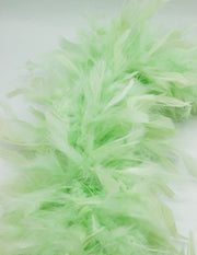 Sal Boa, Verde Pal