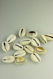 Scoici, 15x11mm, (15buc)