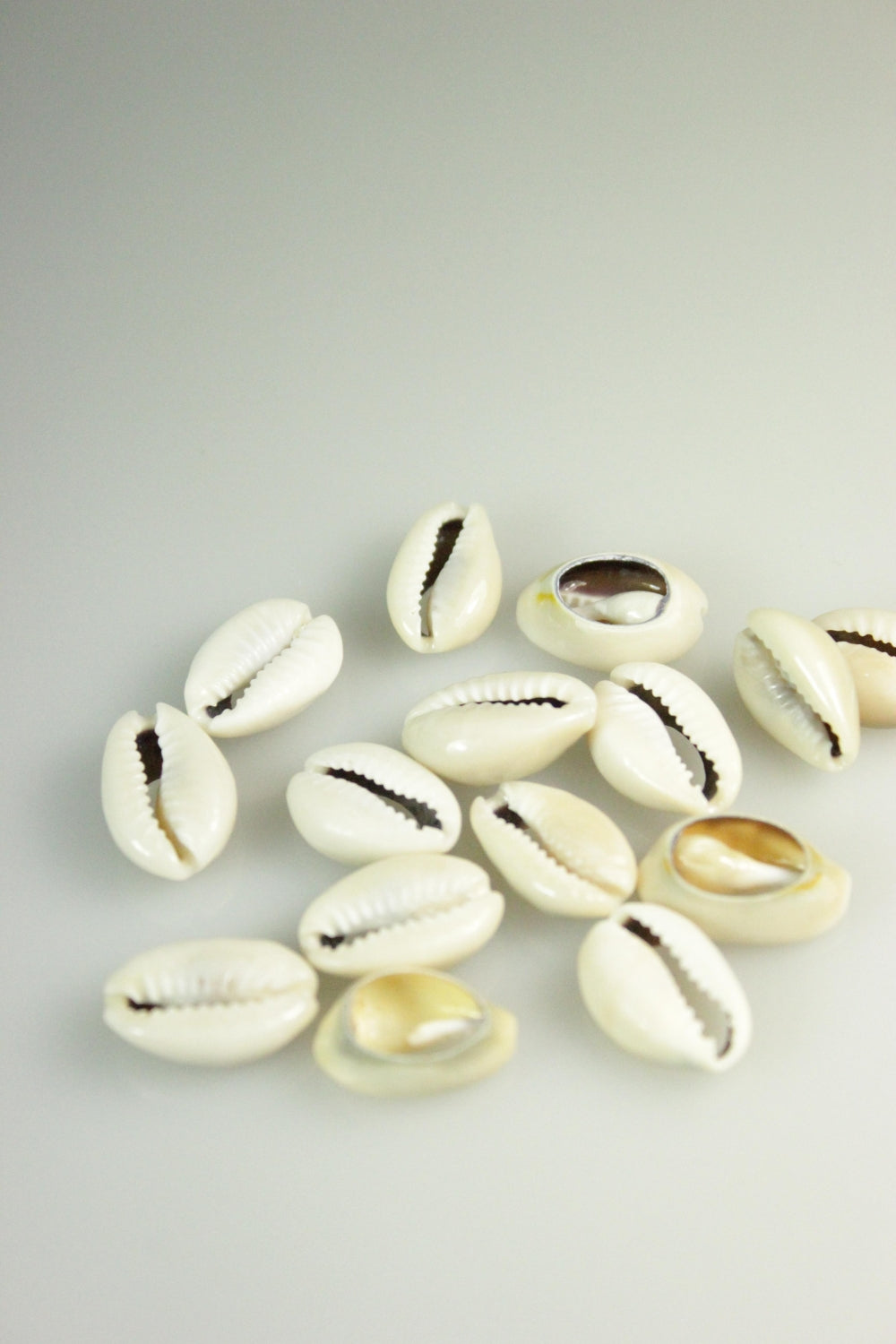 Scoici, 15x11mm, (15buc)