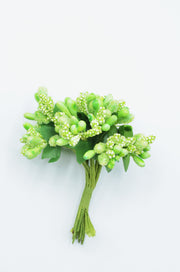 Stamina Cu Bobite mari (12 fire/Buchet) Verde