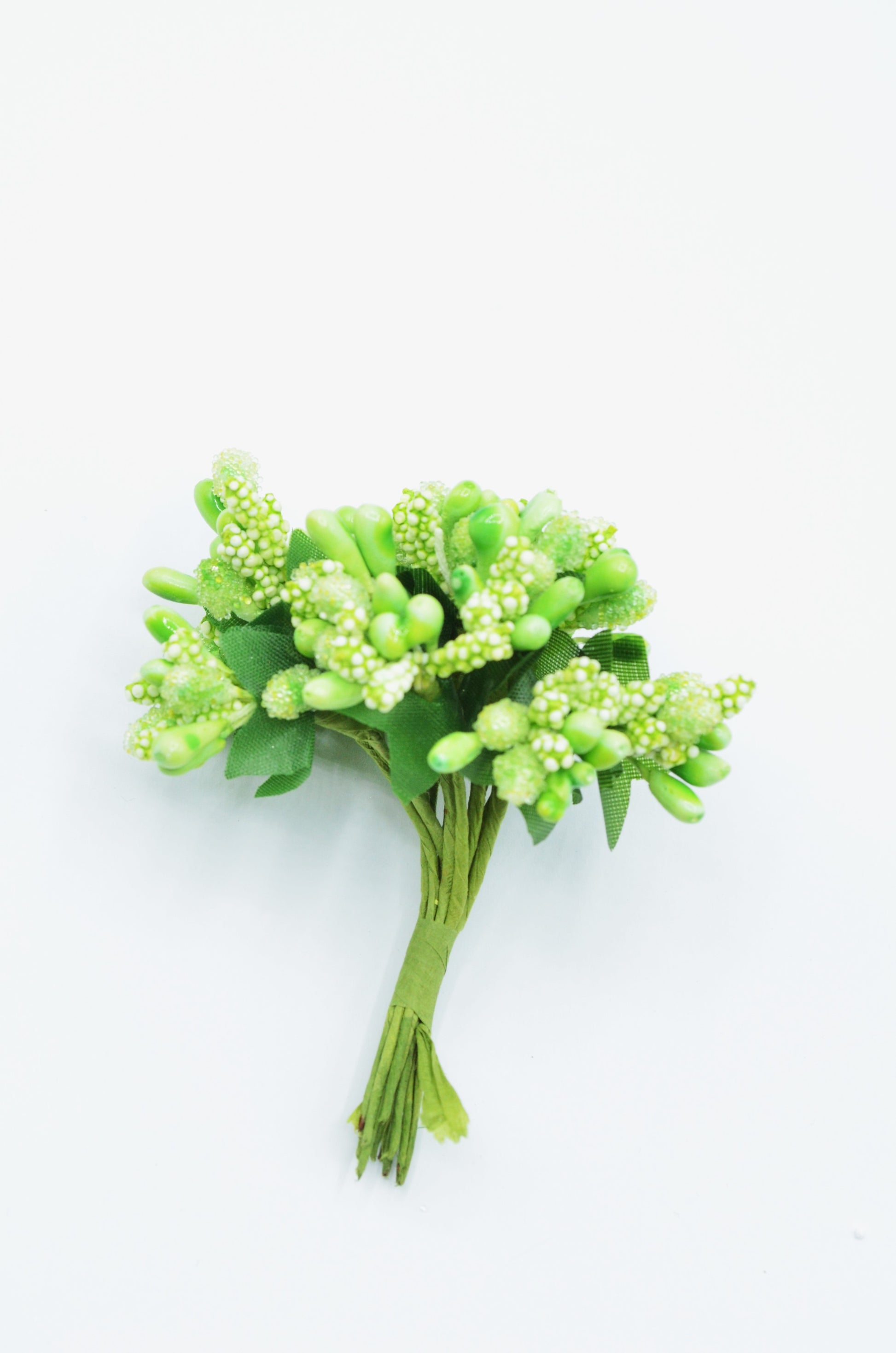 Stamina Cu Bobite mari (12 fire/Buchet) Verde