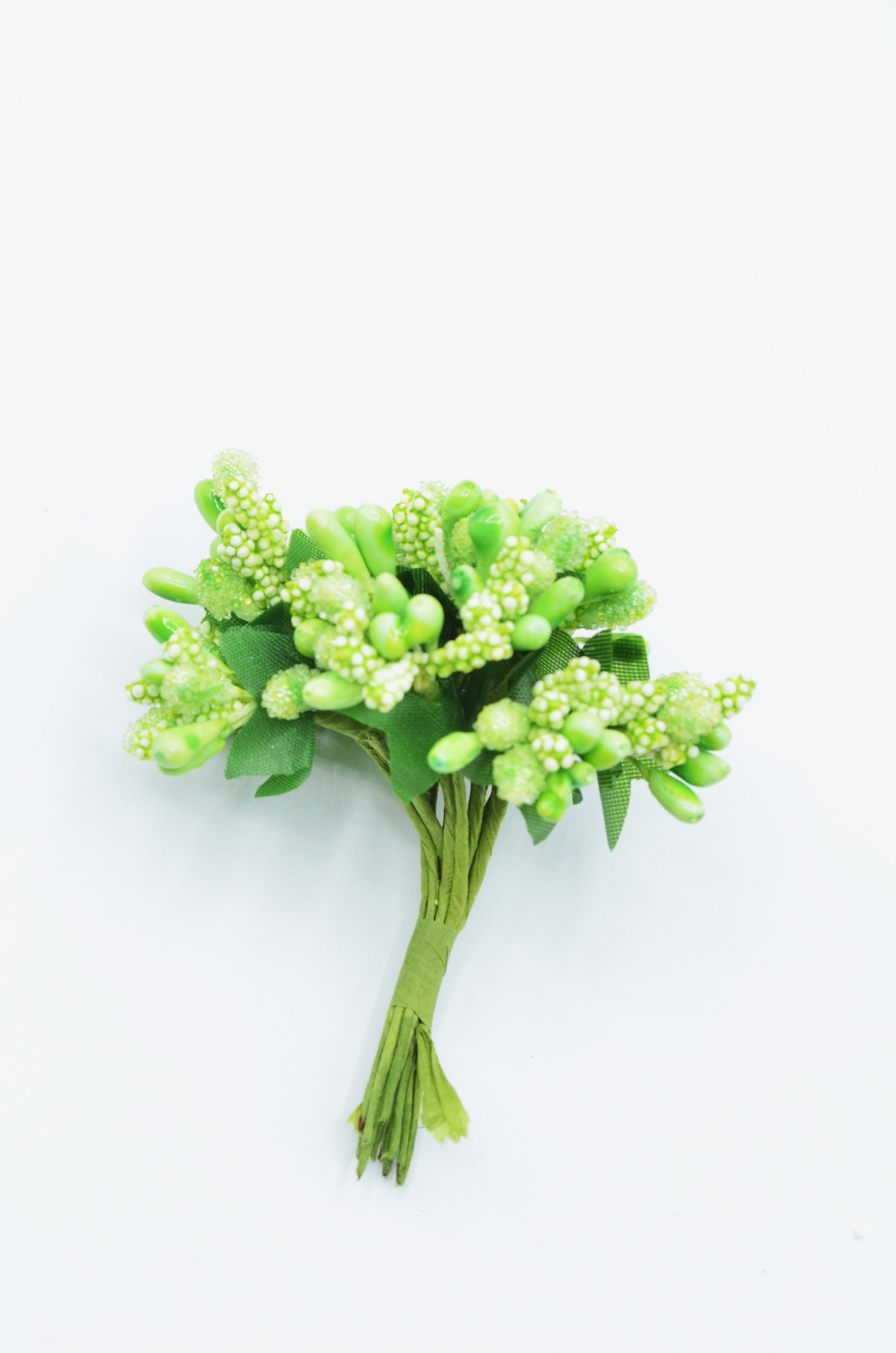 Stamina Cu Bobite mari (12 fire/Buchet) Verde