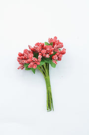 Stamina Cu Bobite mari (12 fire/Buchet) Rosu