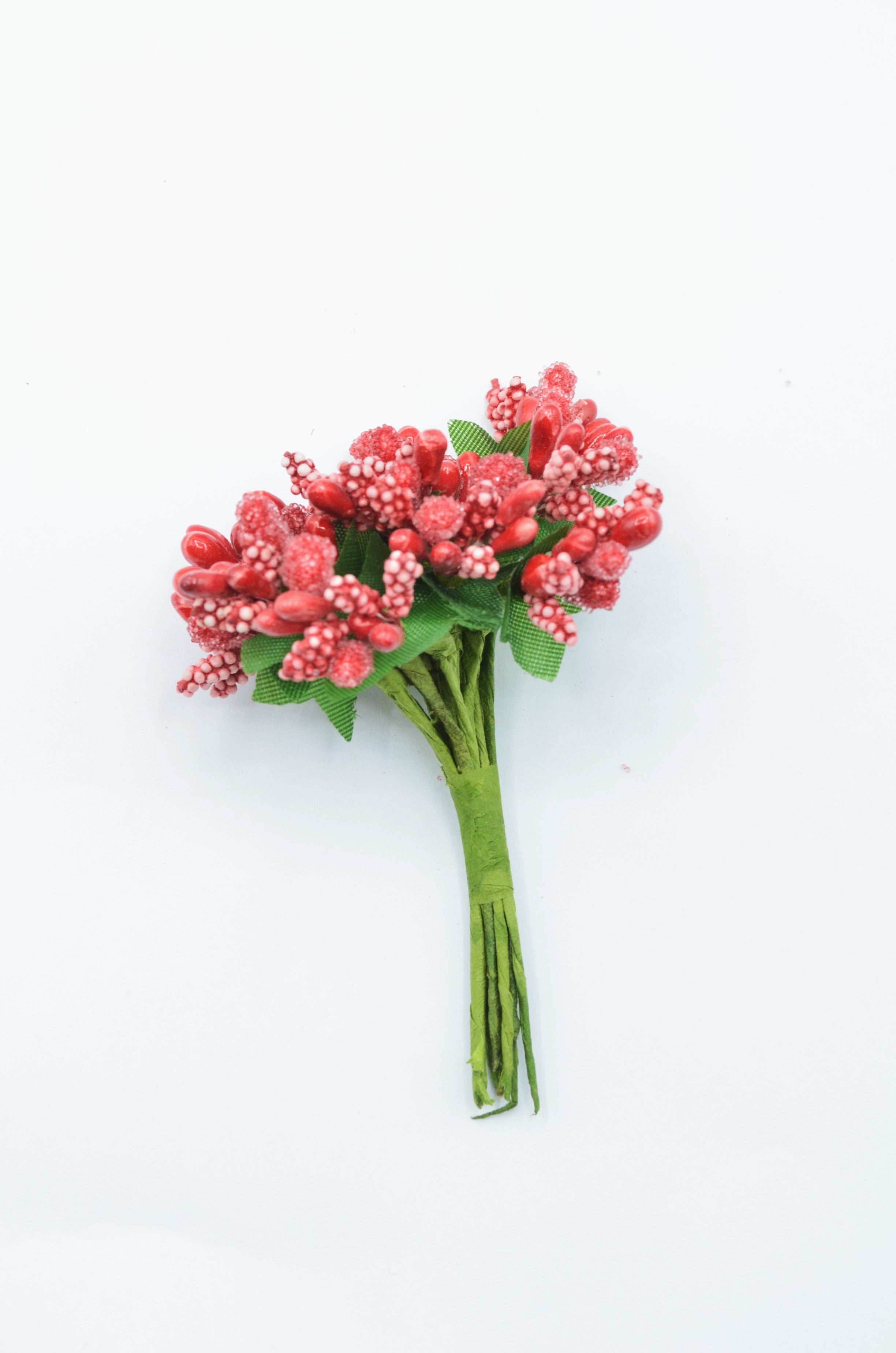 Stamina Cu Bobite mari (12 fire/Buchet) Rosu