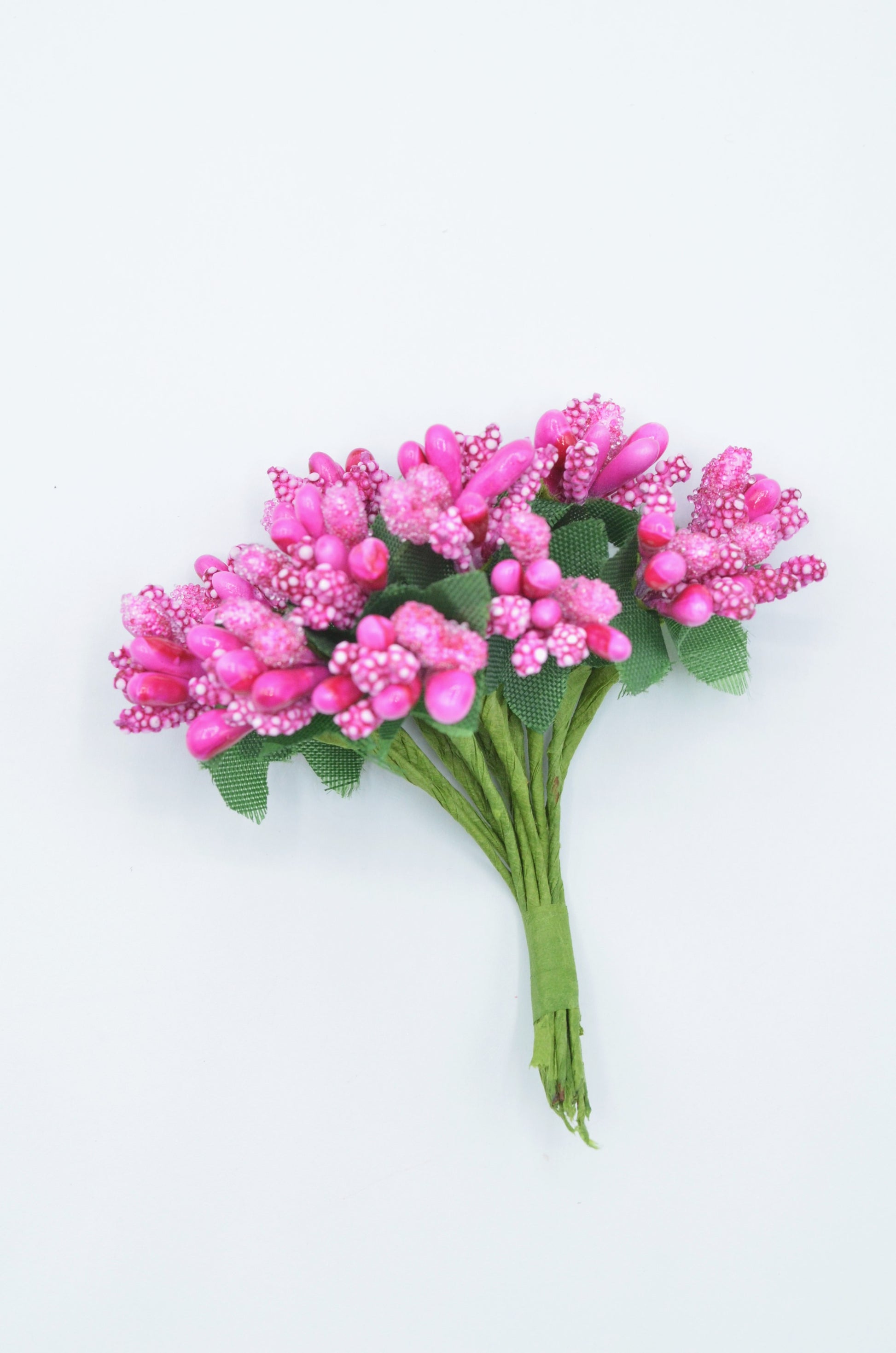 Stamina Cu Bobite mari (12 fire/Buchet) Fucsia