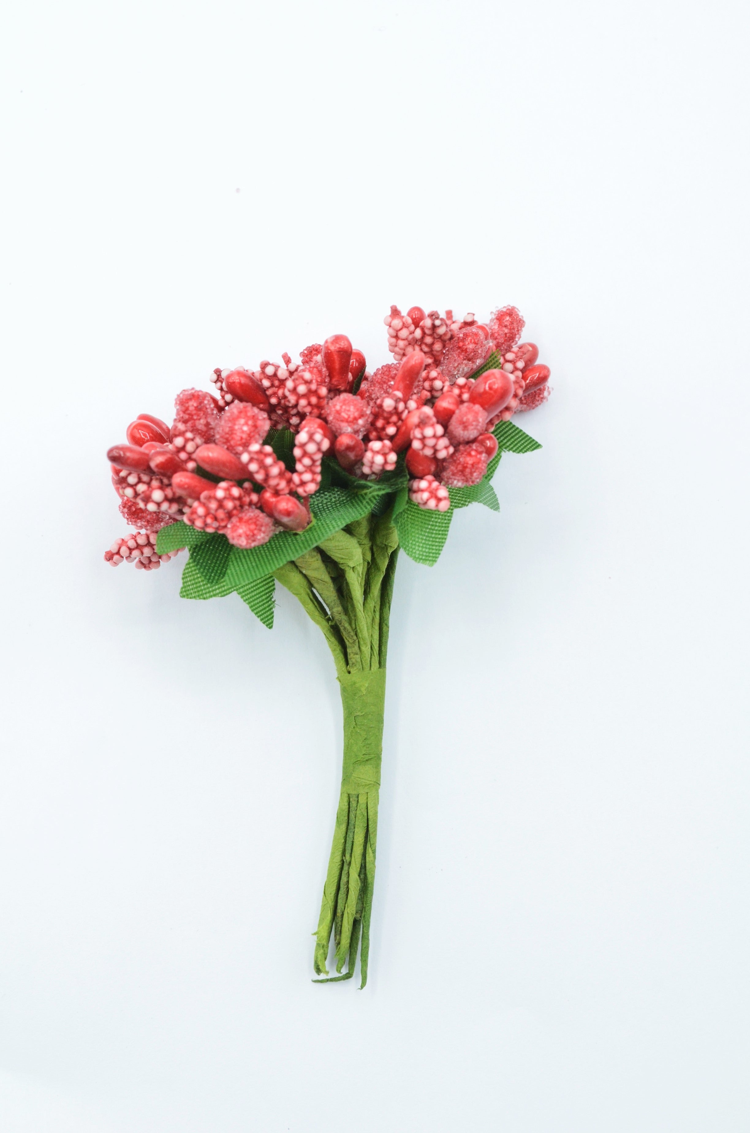 Stamina Cu Bobite mari (12 fire/Buchet) Rosu
