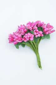 Stamina Cu Bobite mari (12 fire/Buchet) Fucsia