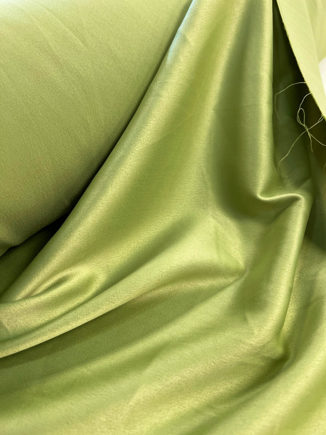 Tafta Elastica, Verde Fistic