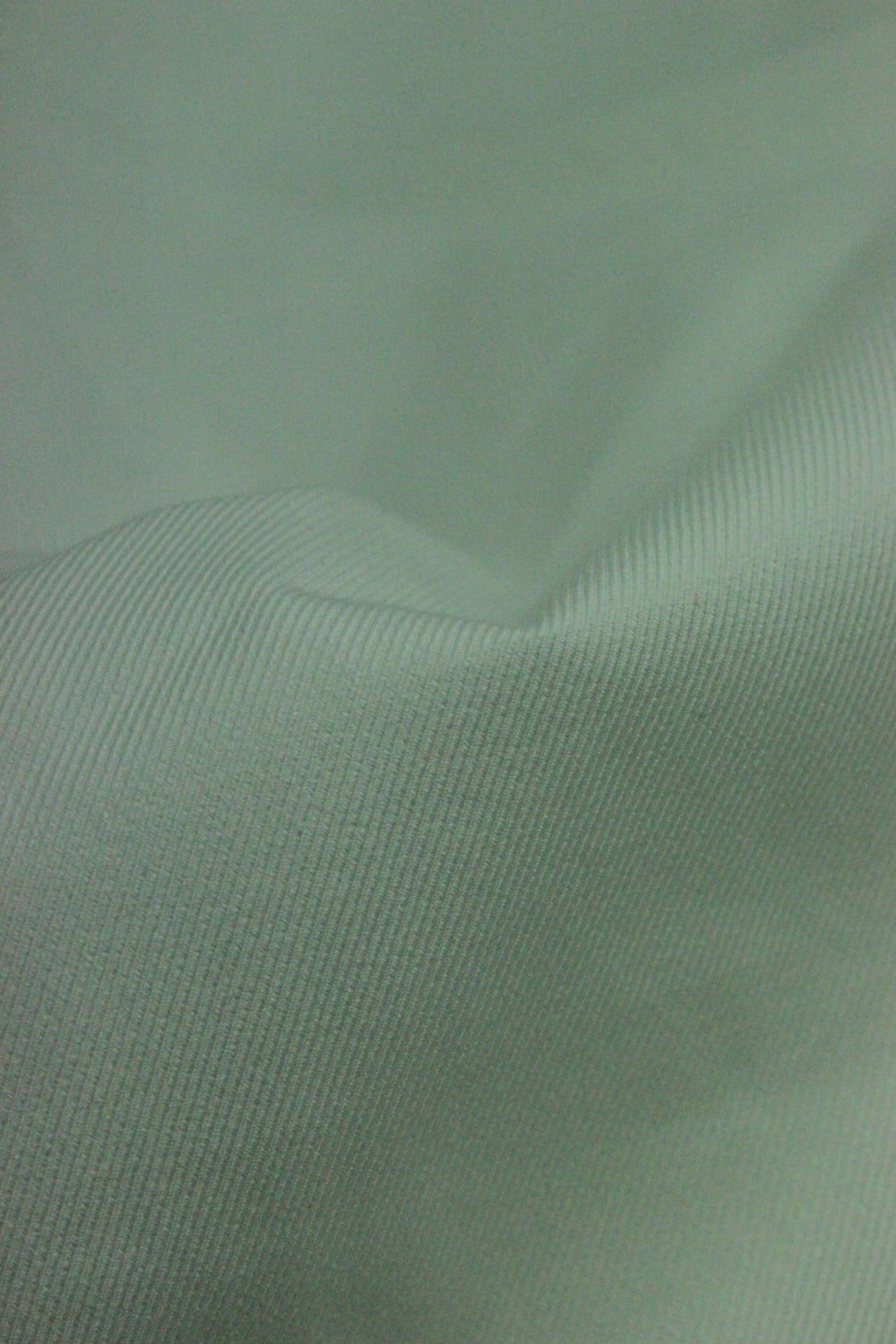 Tercot Elastic, Ivoire