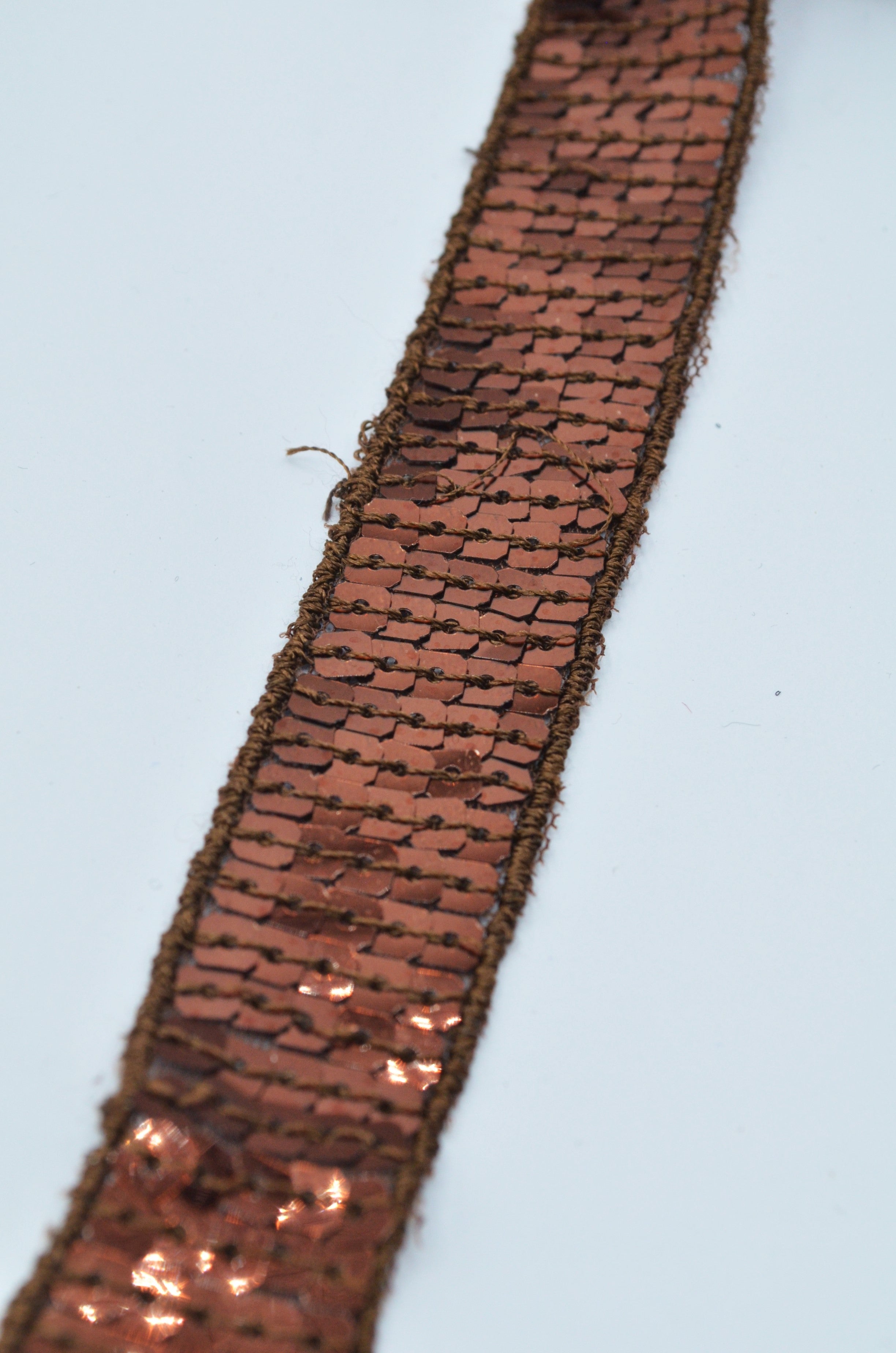 Pasmanterie Cu Paiete 23mm, Maro